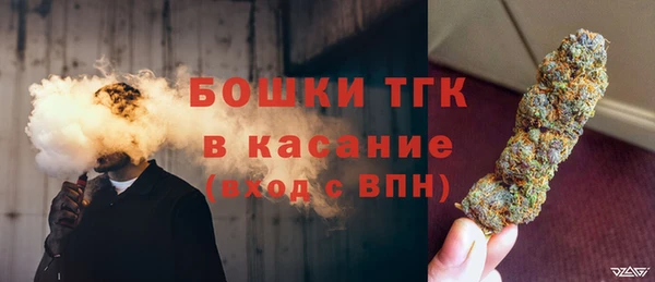 бошки Алексин