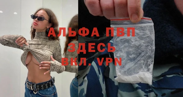 прущие грибы Пролетарск