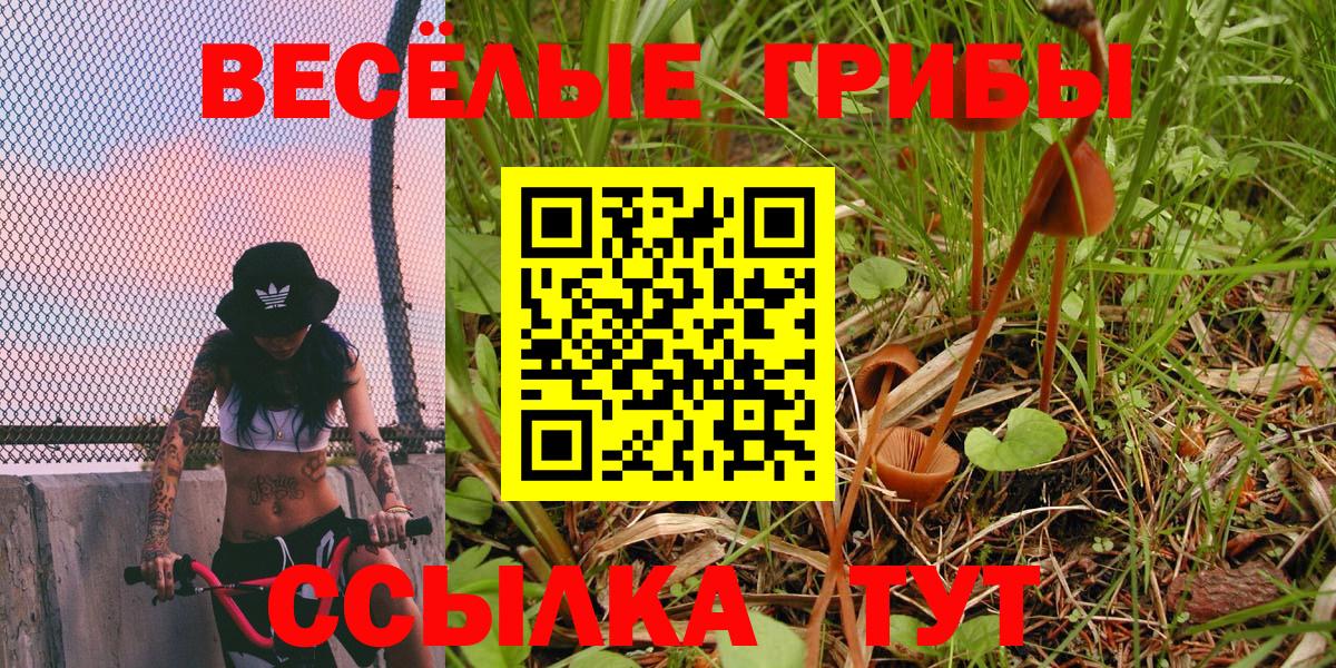 Лесной  Псилоцибиновые грибы Cubensis  Вход с VPN 