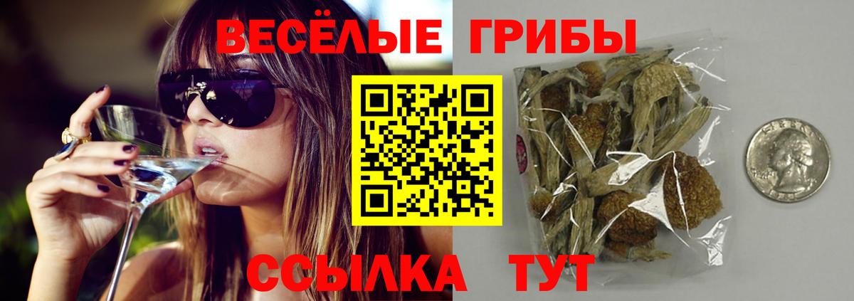 Галлюциногенные грибы Psilocybe Лесной